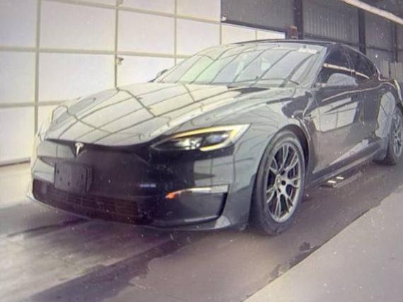 TESLA MODEL S 2024 5YJSA1E51RF538804 image